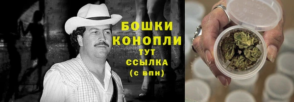 крисы Богородск