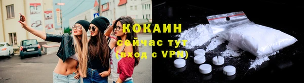 крисы Богородск
