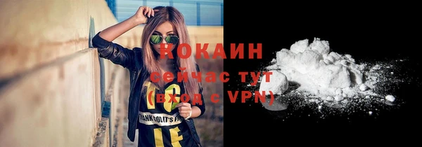 винт Богородицк