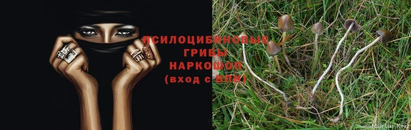 винт Богородицк