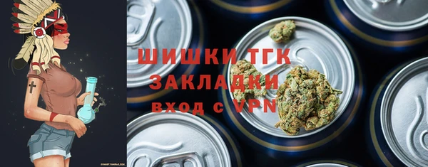 крисы Богородск