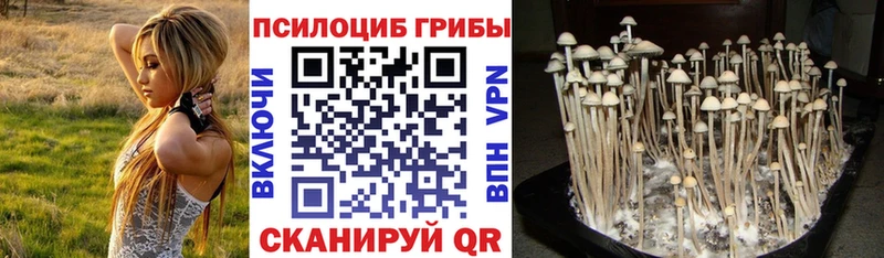 Галлюциногенные грибы мухоморы  Купить закладки  Майский 