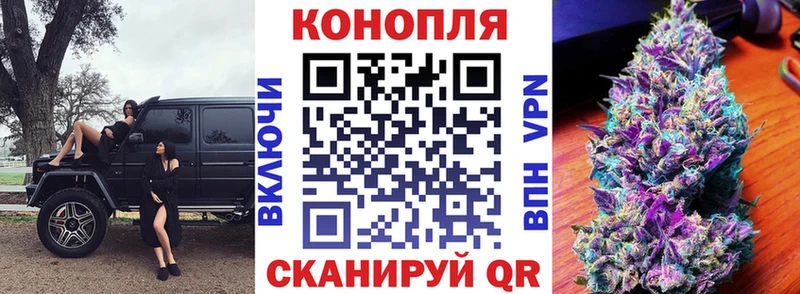 Бошки марихуана семена  Купить где  Майский 